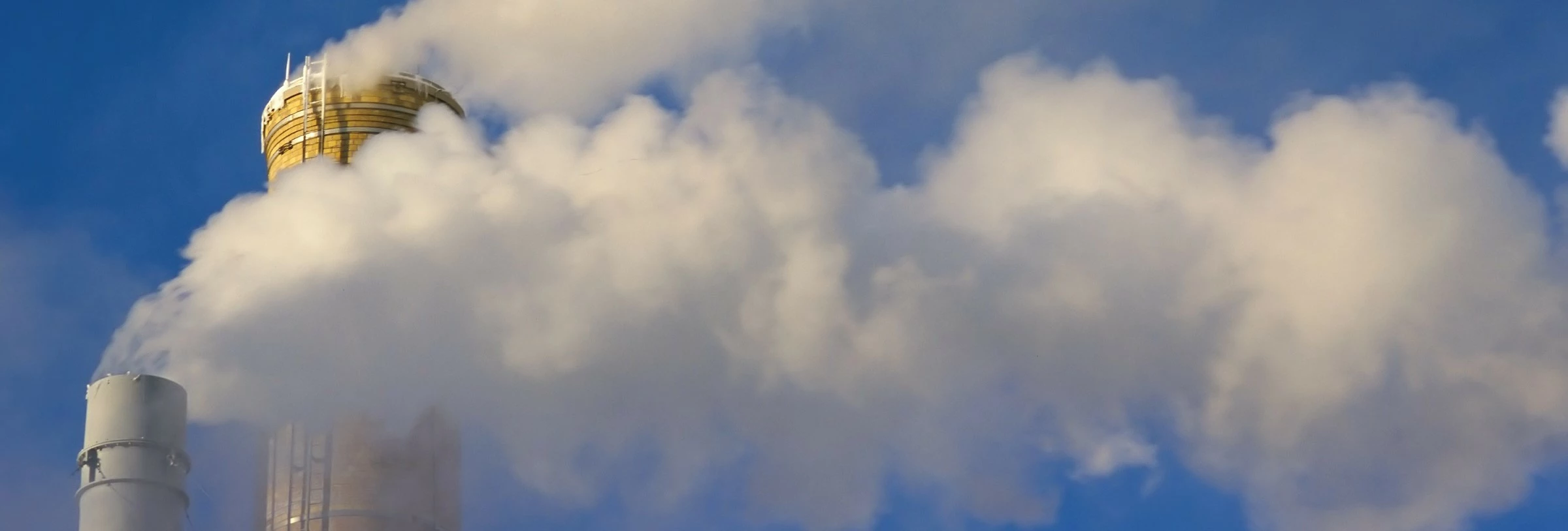 { Banner Image }